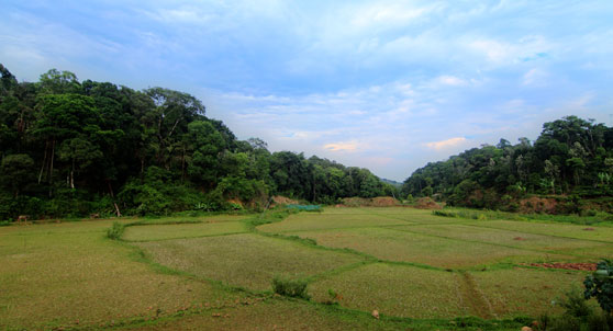  View from Deva Maani